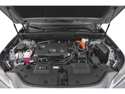 2024 Lexus NX 350h NX 350h Premium