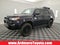 2020 Toyota 4Runner TRD Pro