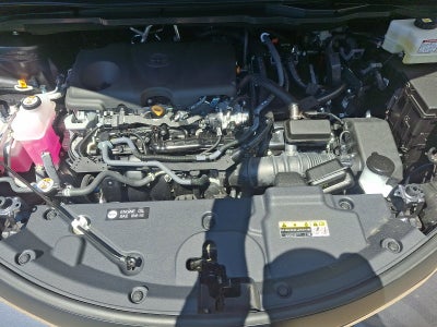 2025 Toyota Sienna LE