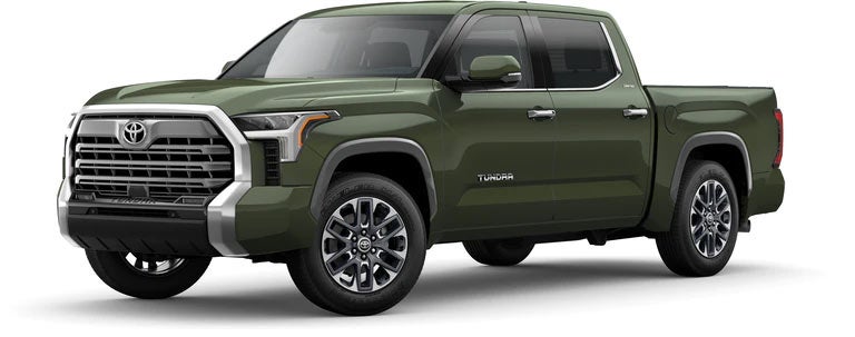 2022 Toyota Tundra Limited in Army Green | Central City Toyota in Philadelphia PA