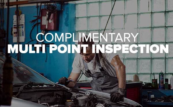 Complimentary Multi Point Inspection