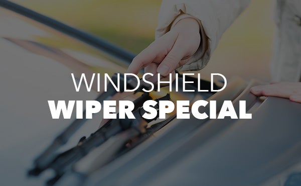 $17.29 SightLine Wiper Special